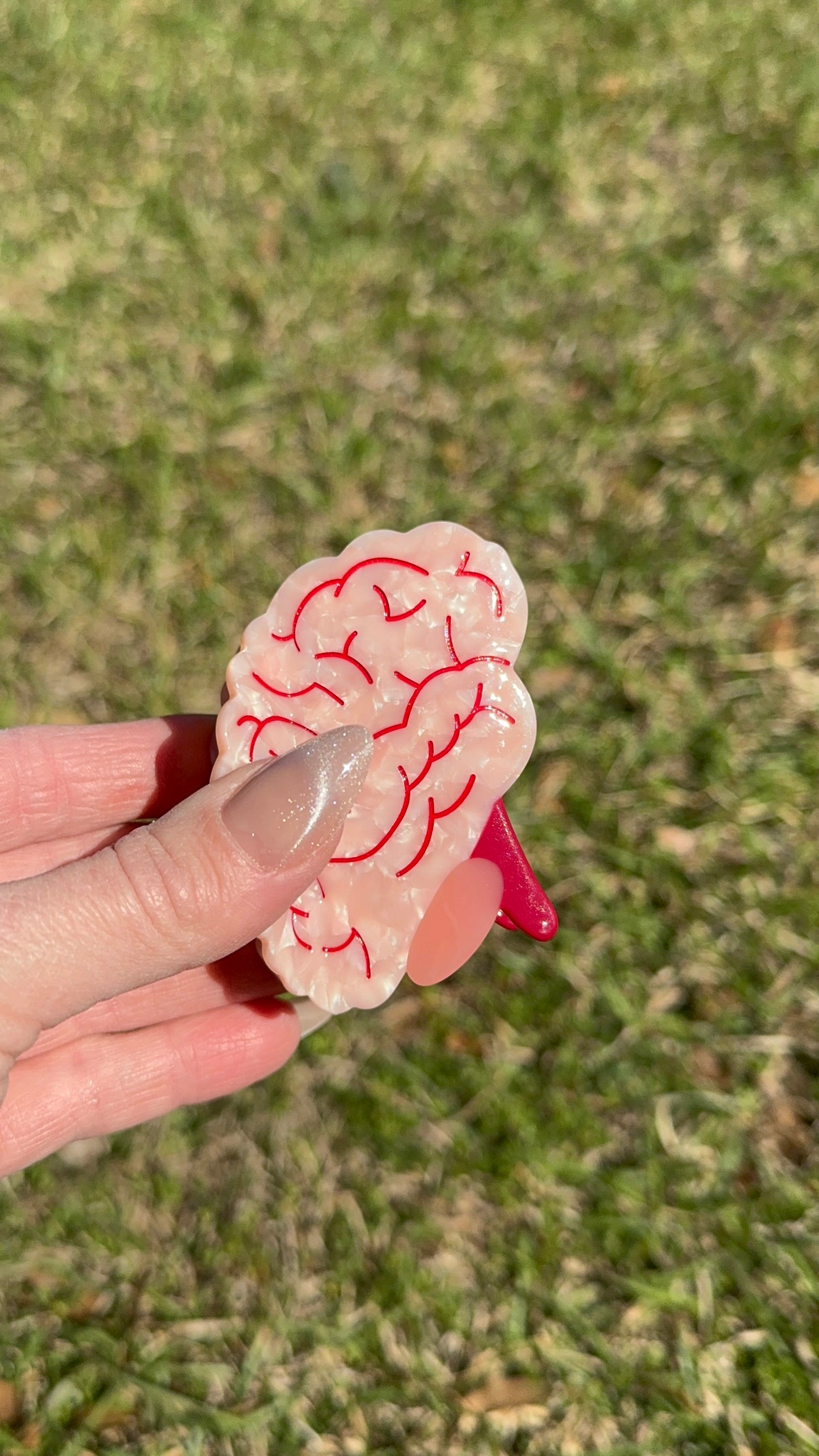 Brain hair claw, hair clip