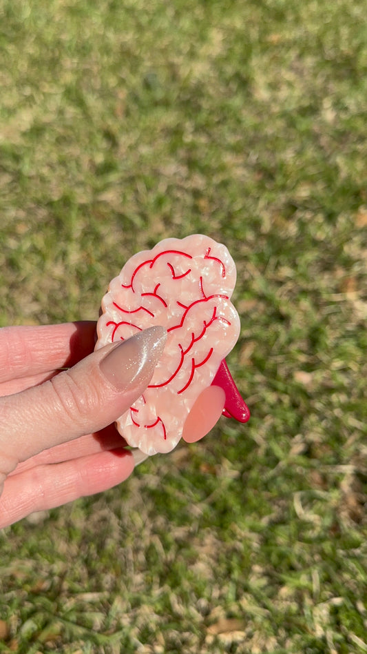Brain hair claw, hair clip